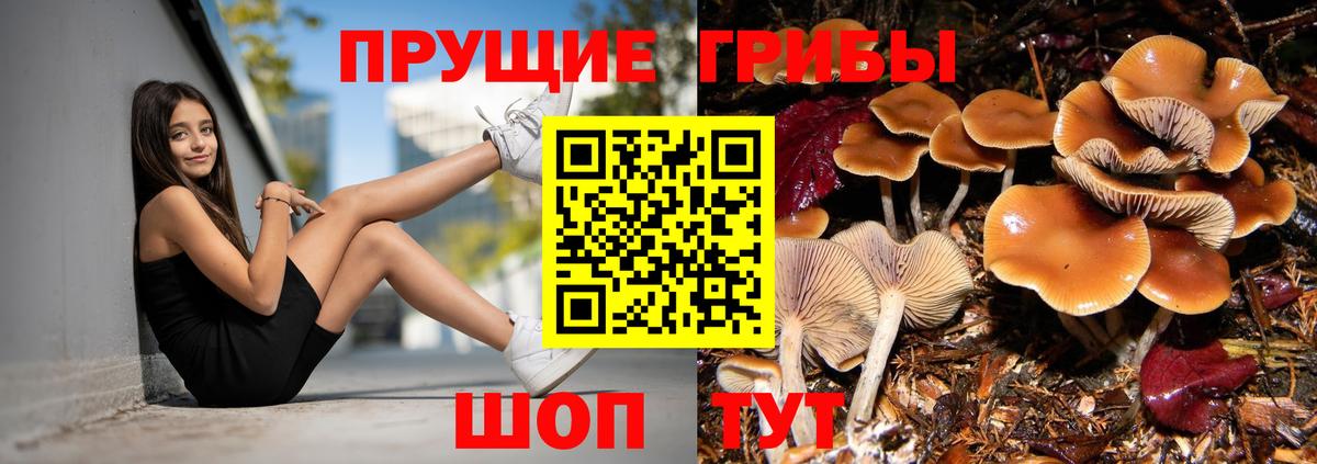 Псилоцибиновые грибы MAGIC MUSHROOMS Михайловск